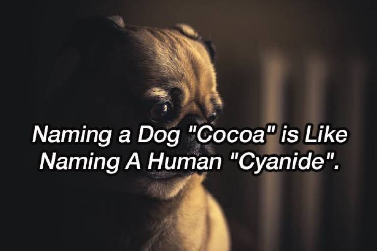 Shower Thoughts To Boggle Your Mind