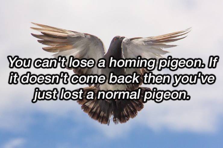 Shower Thoughts To Boggle Your Mind