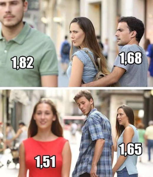 page,5,top 250 funny pics of the year 2019.html - 1 HD Photos | Premium Gallery 2019