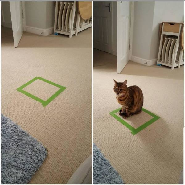 page,5,top 250 morning pics of the year 2019.html - 1 HD Photos | Premium Gallery 2019