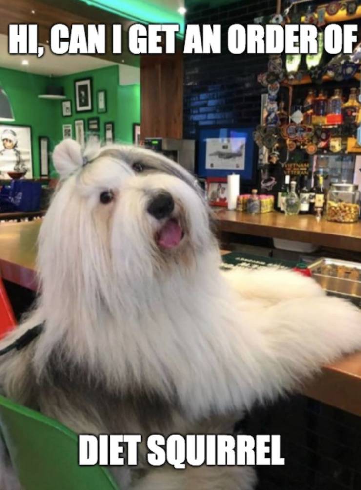 funny picdump 53 pics 25.html - 53 HD Photos | Premium Gallery 2019