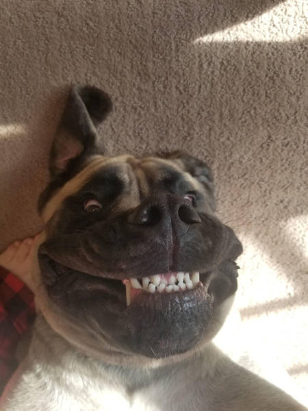 page,4,top 250 morning pics of the year 2019.html - 1 HD Photos | Premium Gallery 2019