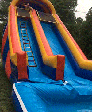 the regret the regret 30 gifs 2.html - 1 HD GIF | Premium Gallery 2019