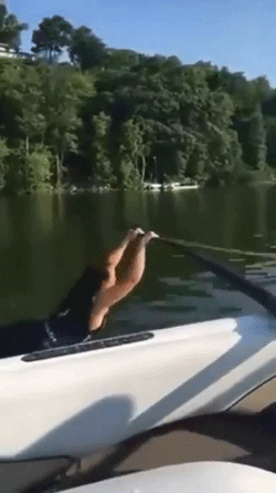 the regret the regret 30 gifs 2.html - 1 HD GIF | Premium Gallery 2019
