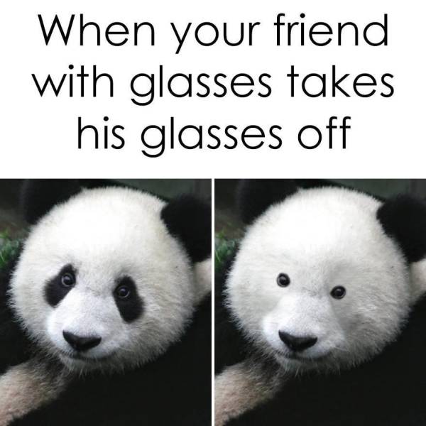 Funny Picdump