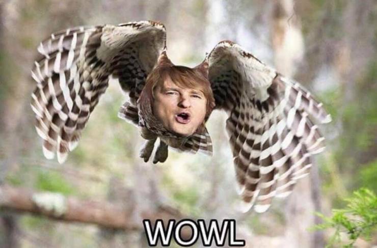 funny picdump 59 pics 27.html - 59 HD Photos | Premium Gallery 2019