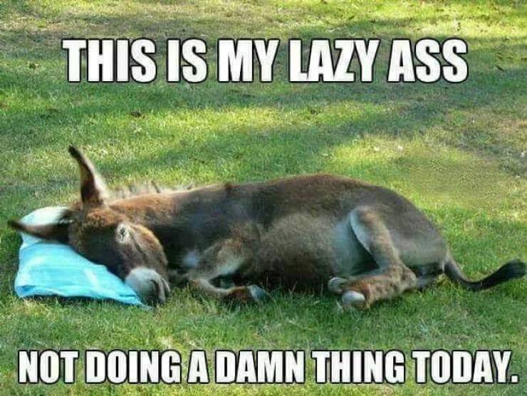 funny picdump 52 pics 13.html - 52 HD Photos | Premium Gallery 2019