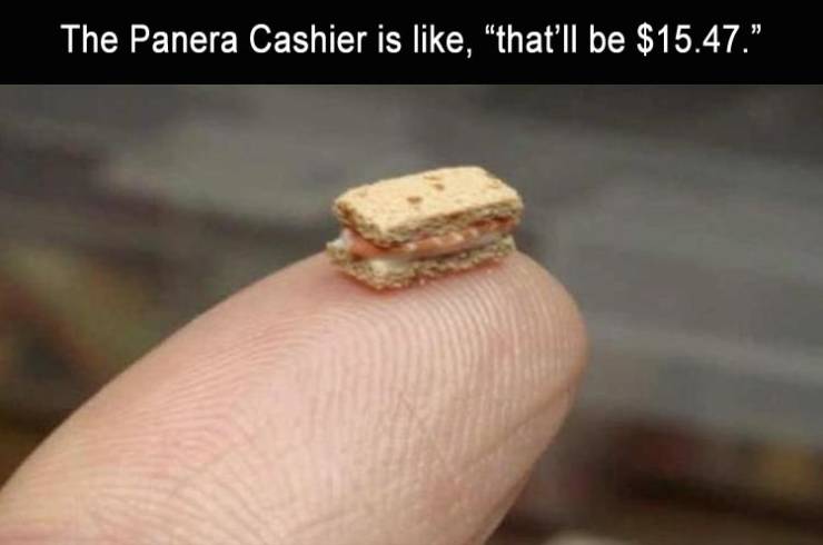 funny picdump 52 pics 13.html - 52 HD Photos | Premium Gallery 2019
