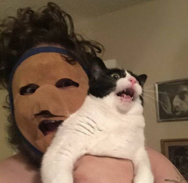 daily picdump 97 pics 19.html - 97 HD Photos | Premium Gallery 2019