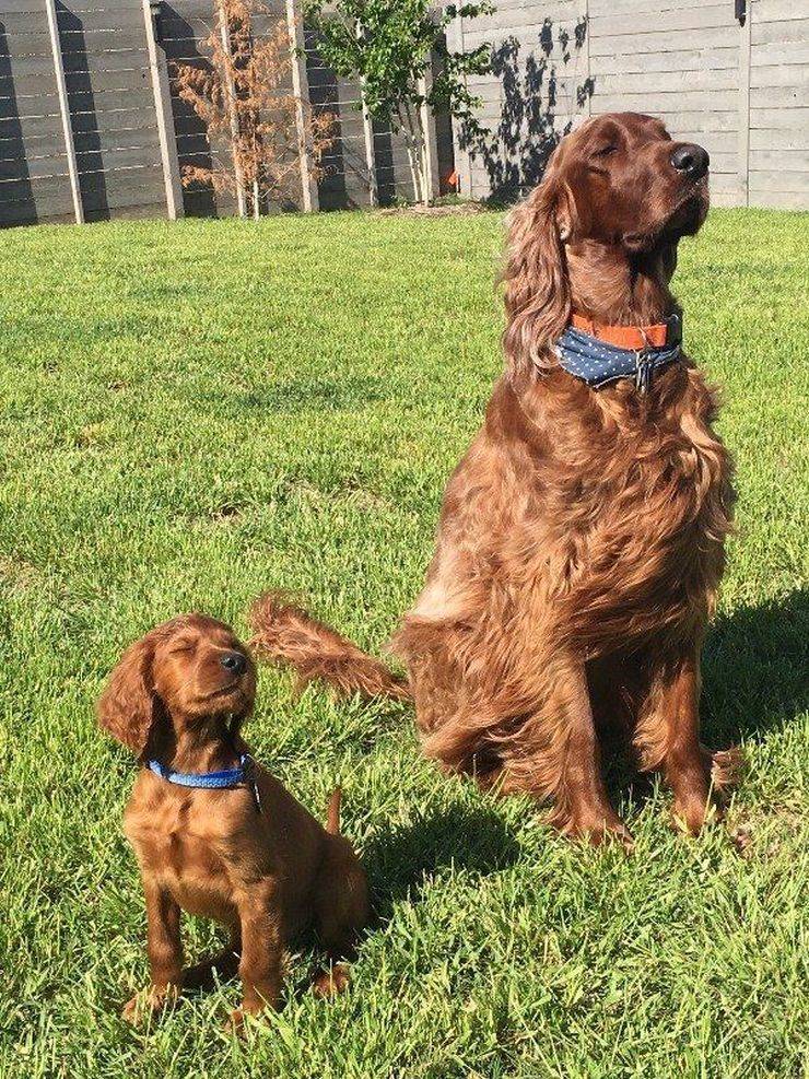 daily picdump 97 pics 19.html - 97 HD Photos | Premium Gallery 2019