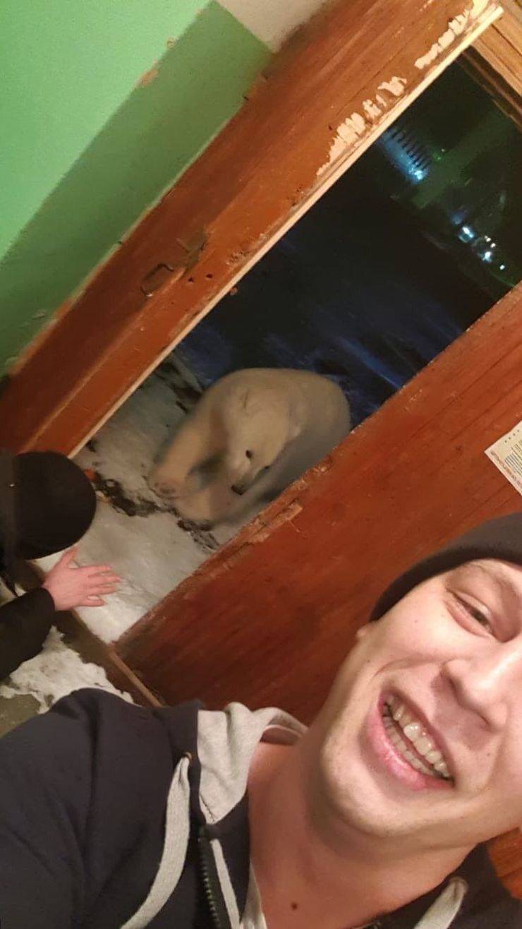 daily picdump 97 pics 19.html - 97 HD Photos | Premium Gallery 2019