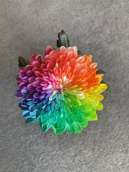 page,10,top 250 morning pics of the year 2019.html - 1 HD Photos | Premium Gallery 2019