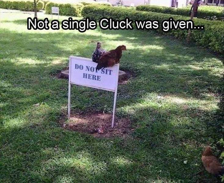 funny picdump 53 pics 14.html - 53 HD Photos | Premium Gallery 2019