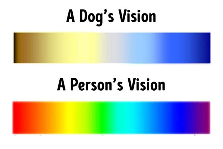 Sometimes You Just Need To Compare