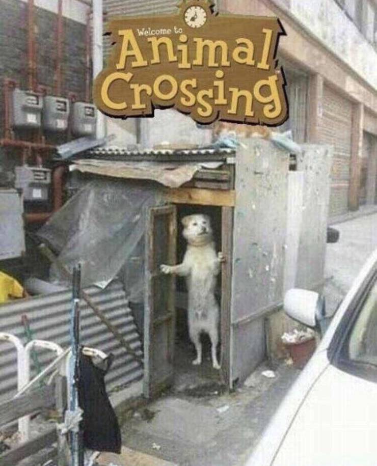 Funny Picdump