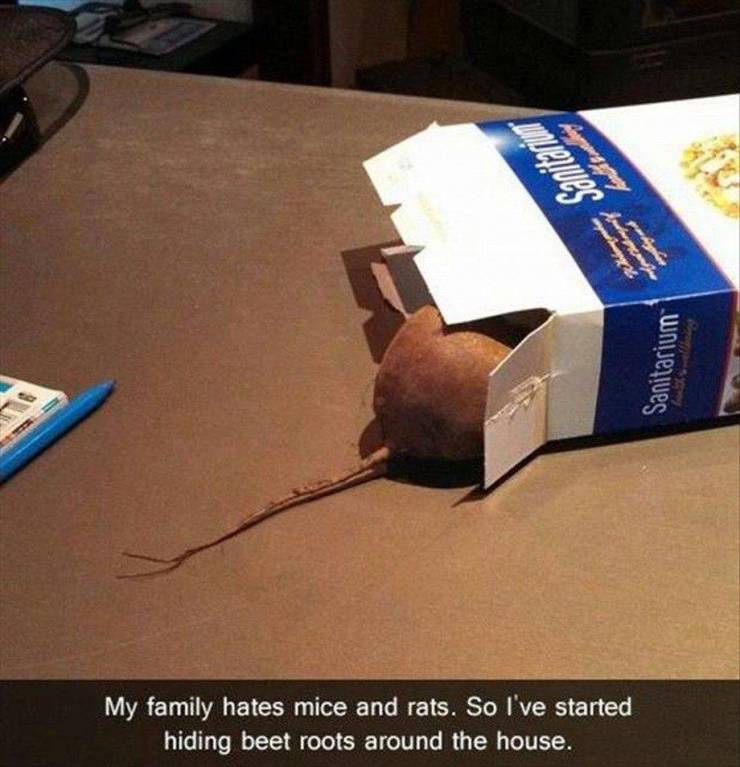 Jerks! Jerks Everywhere!
