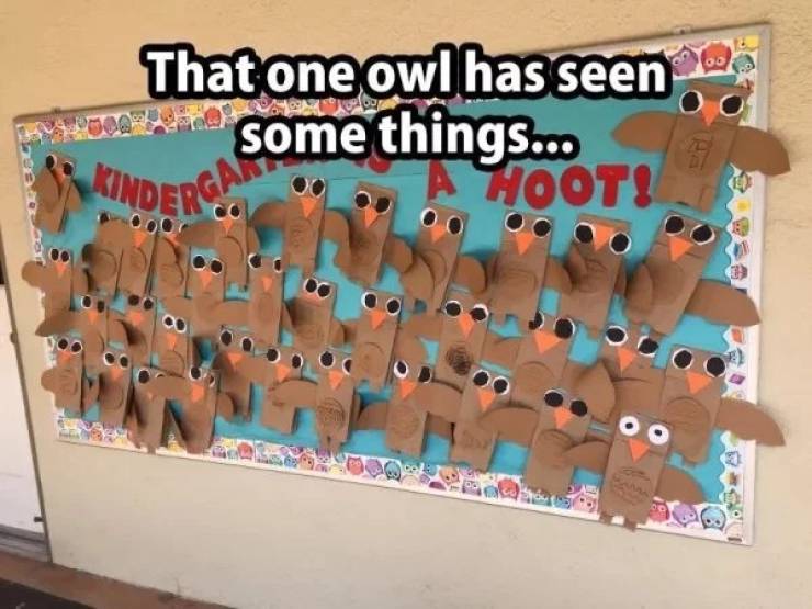 Pictures That Will Make You Look Twice