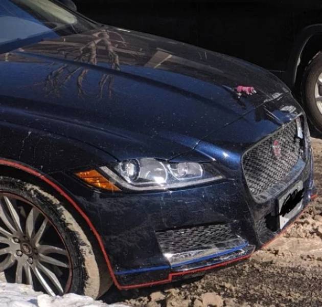 Pictures That Will Make You Look Twice