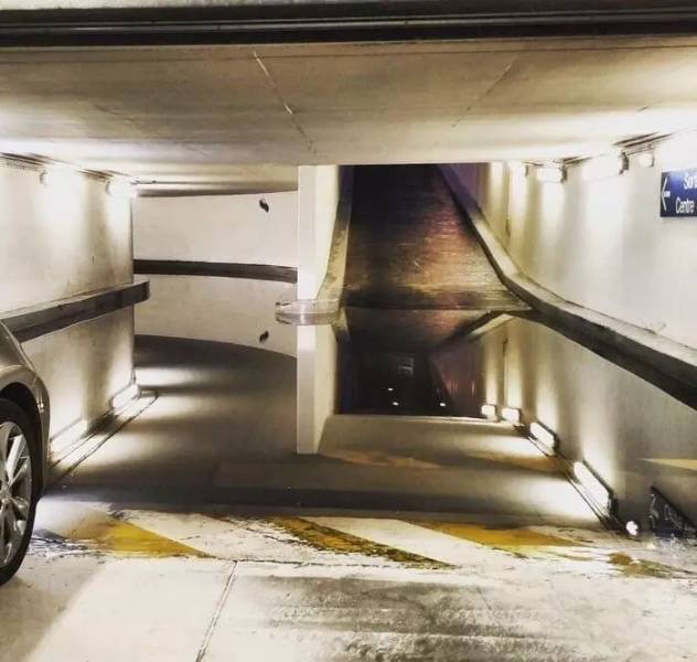 Pictures That Will Make You Look Twice