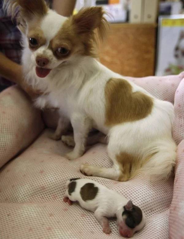 Pictures That Will Make You Look Twice