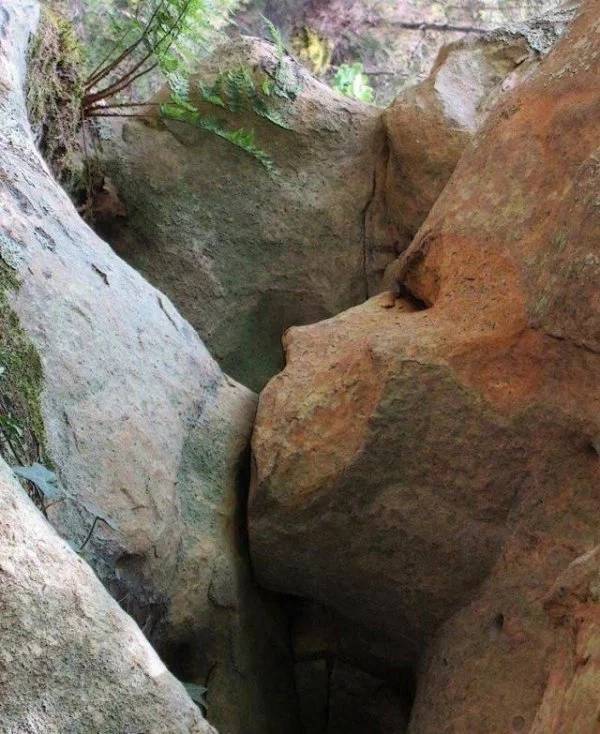 Pictures That Will Make You Look Twice