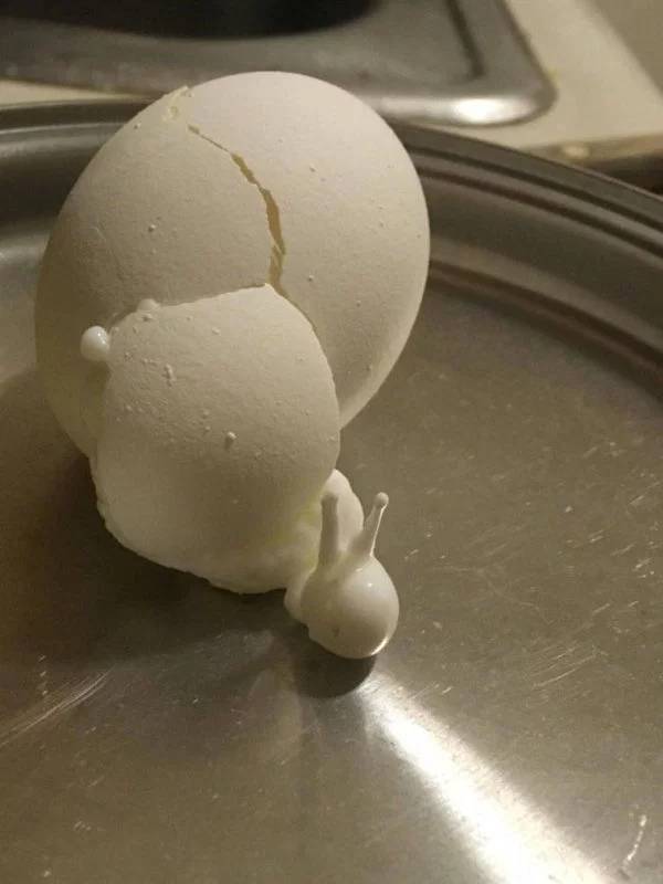 Pictures That Will Make You Look Twice