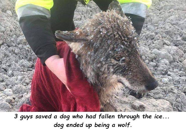 page,2,top 750 daily pics of the year 2019.html - 1 HD Photos | Premium Gallery 2019