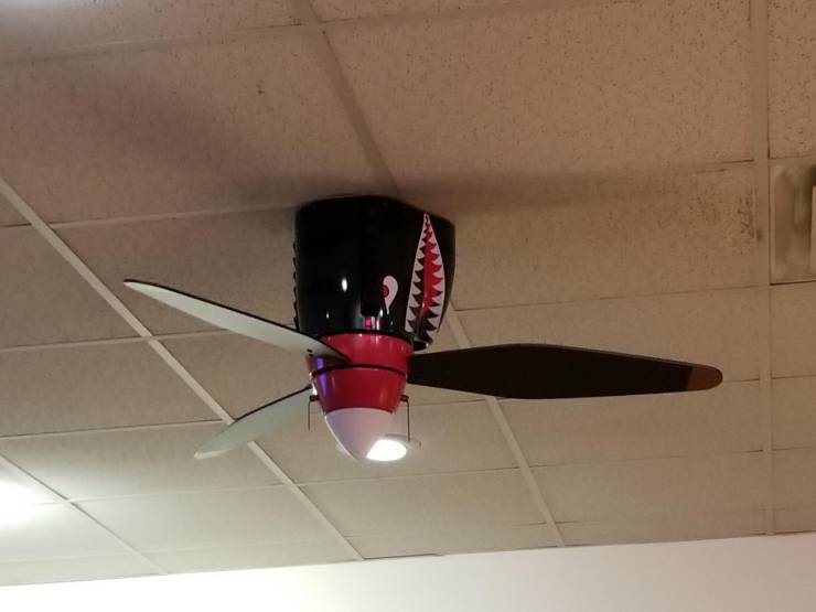 page,30,top 750 daily pics of the year 2019.html - 1 HD Photos | Premium Gallery 2019