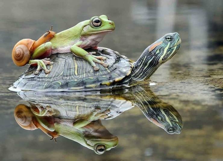 page,18,top 750 daily pics of the year 2019.html - 1 HD Photos | Premium Gallery 2019