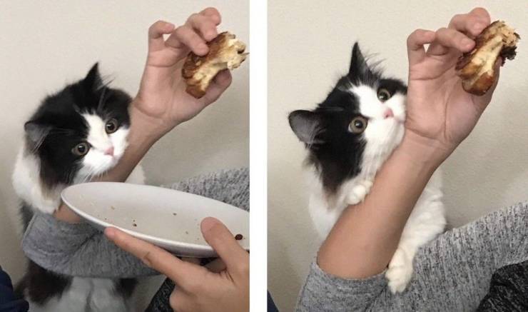 page,30,top 750 daily pics of the year 2019.html - 1 HD Photos | Premium Gallery 2019