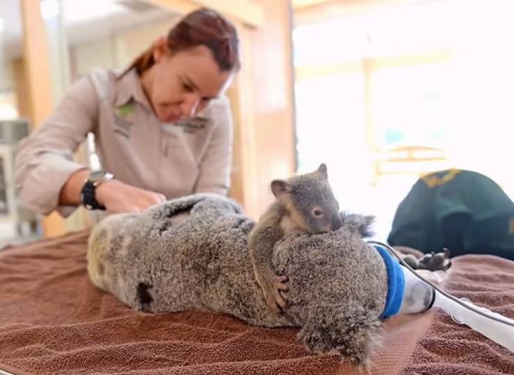 page,11,top 750 daily pics of the year 2019.html - 1 HD Photos | Premium Gallery 2019