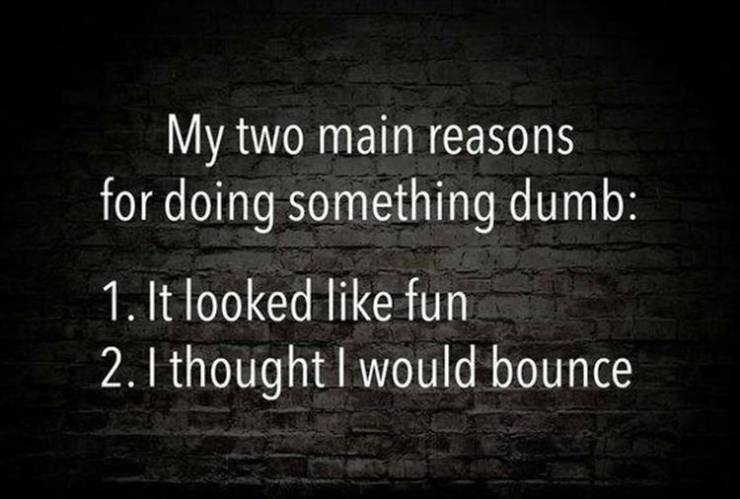 page,4,top 250 funny pics of the year 2019.html - 1 HD Photos | Premium Gallery 2019