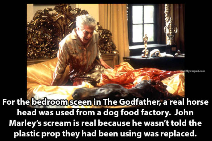 page,4,top 100 interesting pics of the year 2019.html - 1 HD Photos | Premium Gallery 2019