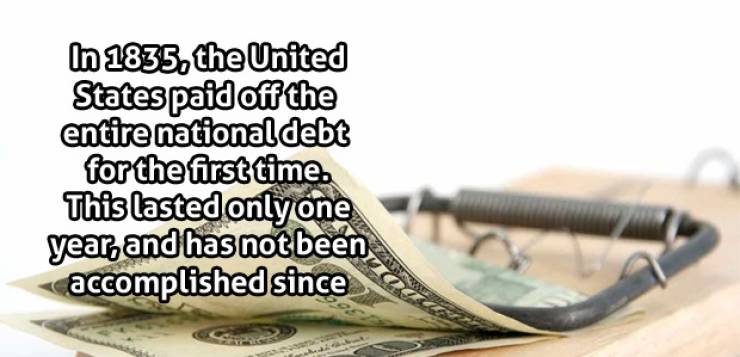 page,4,top 100 interesting pics of the year 2019.html - 1 HD Photos | Premium Gallery 2019