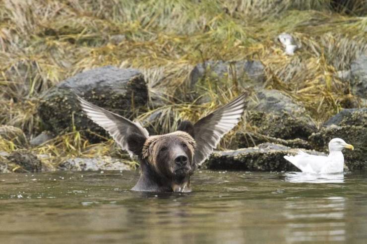 Daily Picdump [WEEKEND EDITION]