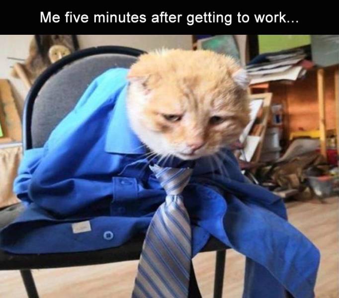 funny picdump 50 pics 25.html - 50 HD Photos | Premium Gallery 2019