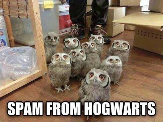 funny picdump 54 pics 26.html - 54 HD Photos | Premium Gallery 2019
