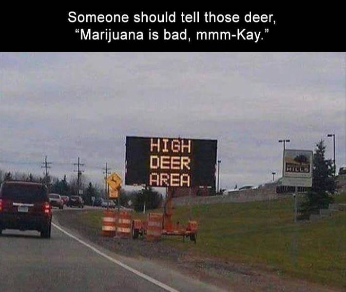 funny picdump 54 pics 26.html - 54 HD Photos | Premium Gallery 2019