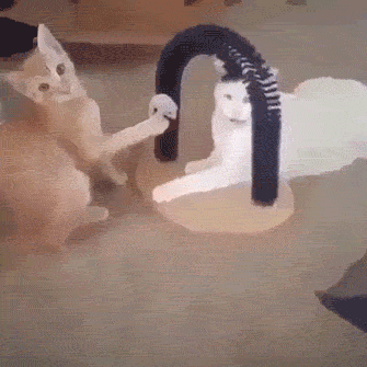 BOOM, Headshot!