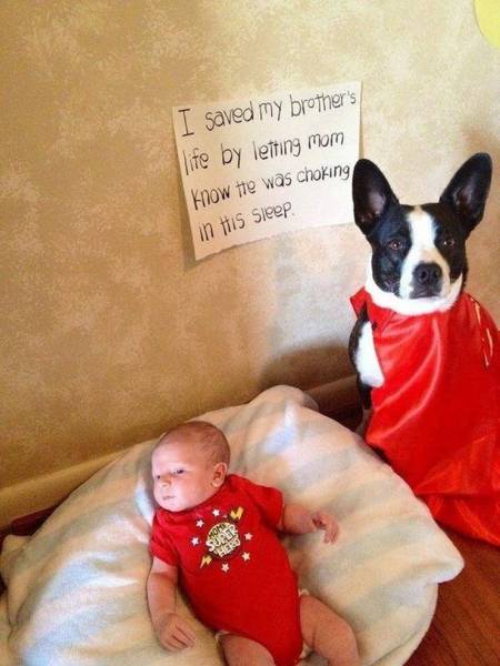 page,20,top 750 daily pics of the year 2019.html - 1 HD Photos | Premium Gallery 2019