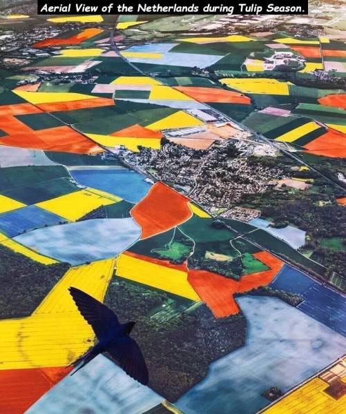 page,20,top 750 daily pics of the year 2019.html - 1 HD Photos | Premium Gallery 2019