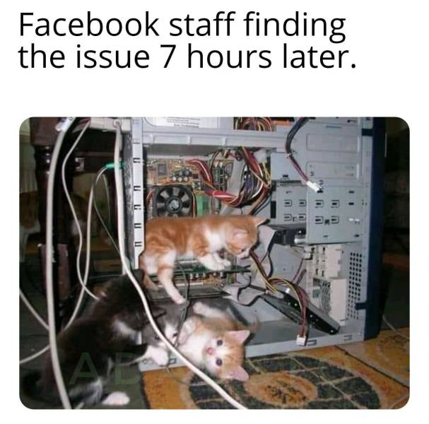 funny picdump 50 pics 2.html - 50 HD Photos | Premium Gallery 2019