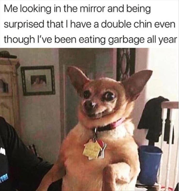 funny picdump 50 pics 2.html - 50 HD Photos | Premium Gallery 2019