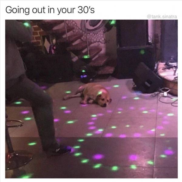 Funny Picdump