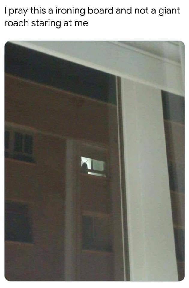 funny picdump 52 pics 23.html - 52 HD Photos | Premium Gallery 2019