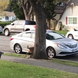 GIFs Looped To The Point Of Perfection