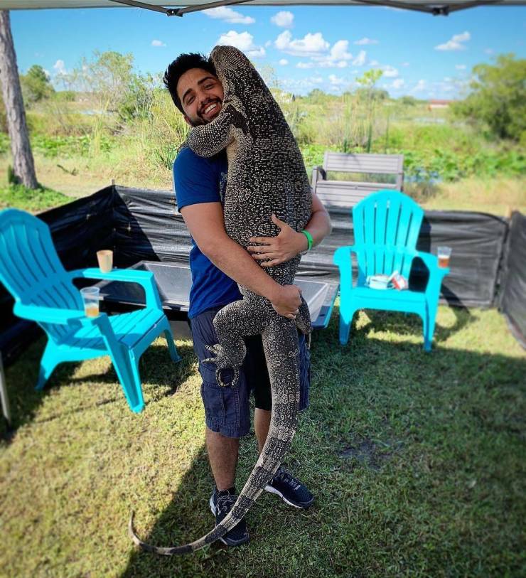 daily picdump 97 pics 9.html - 97 HD Photos | Premium Gallery 2019