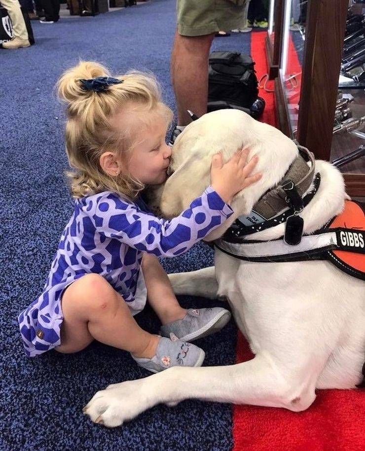 daily picdump 97 pics 9.html - 97 HD Photos | Premium Gallery 2019