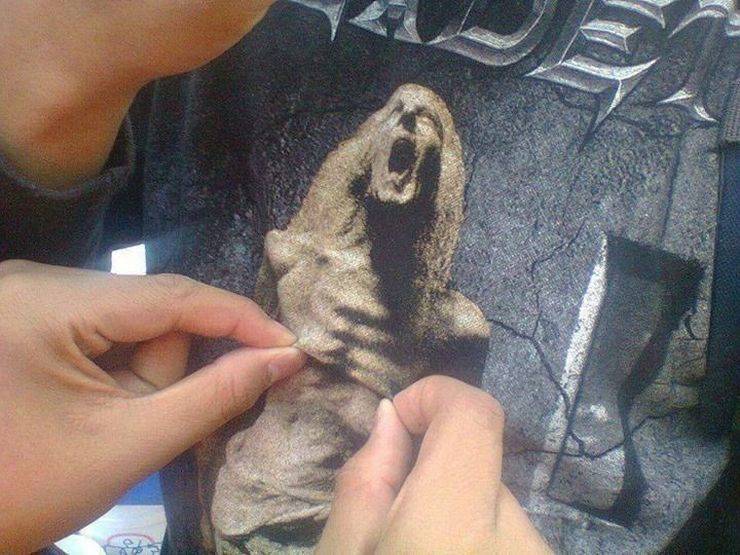 Daily Picdump