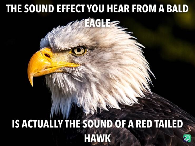 Funny Picdump